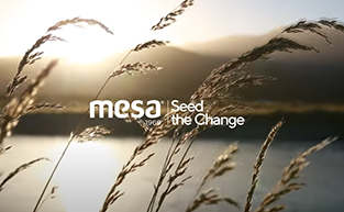 Mesa Mesken Sürdürülebilirlik Raporu 2024 Yayınlandı